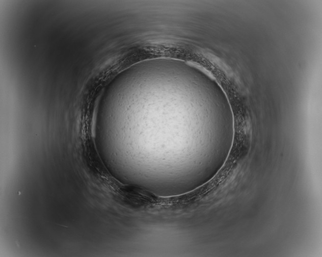 X0000087670965200705111154