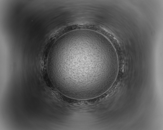 X0000087670966200705111154