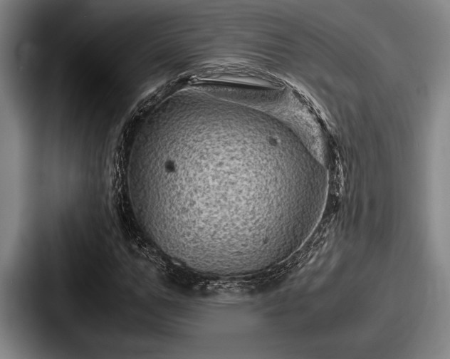 X0000087670967200705111154