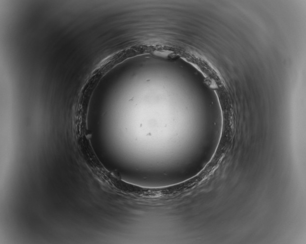 X0000087670968200705111154