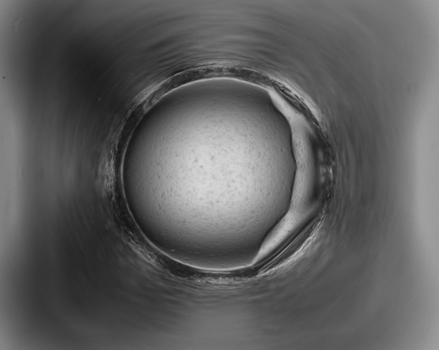 X0000087670969200705111154