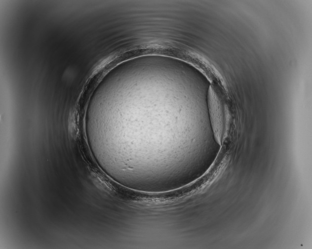 X0000087670970200705111154