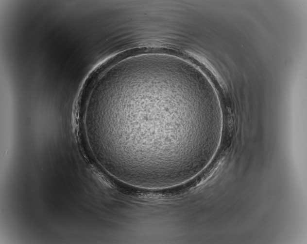 X0000087670971200705111154