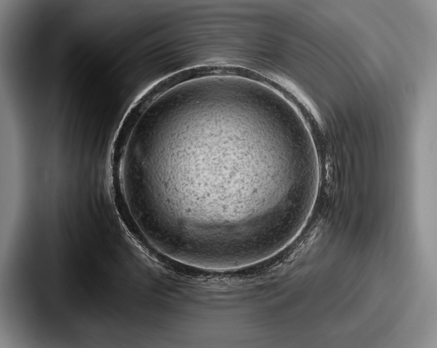 X0000087670972200705111154