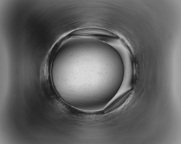 X0000087670973200705111154