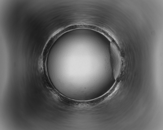 X0000087670974200705111154