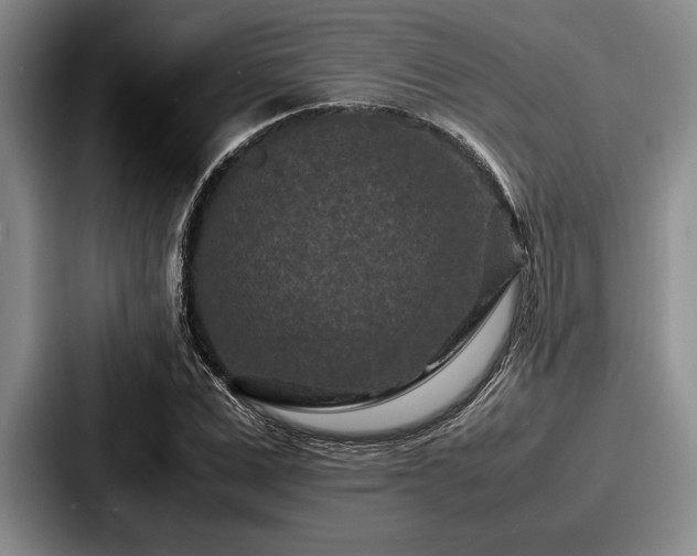 X0000087670975200705111154