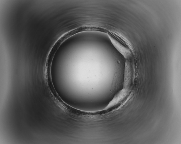 X0000087670976200705111154