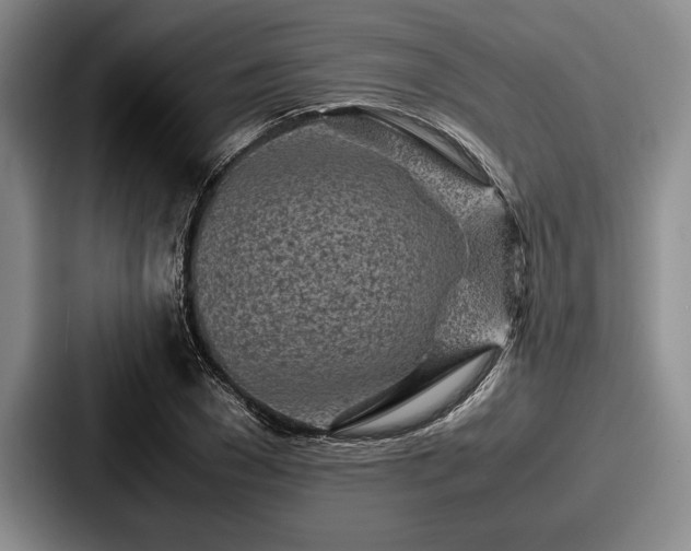 X0000087670977200705111154