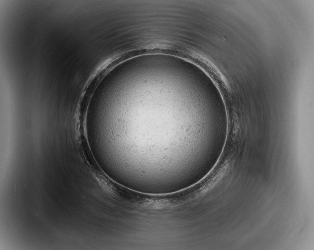 X0000087670978200705111154