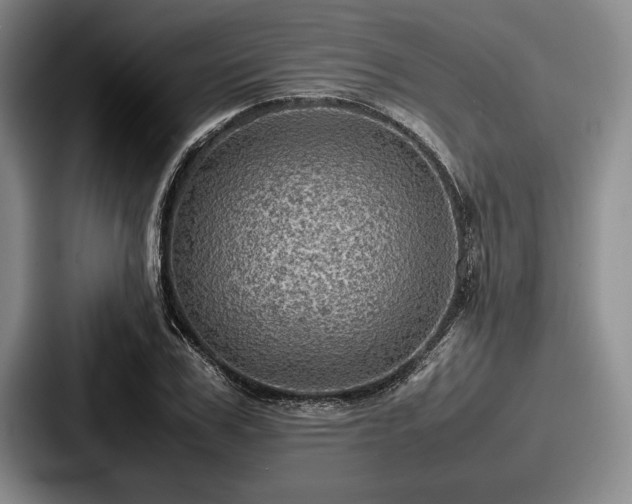 X0000087670979200705111154