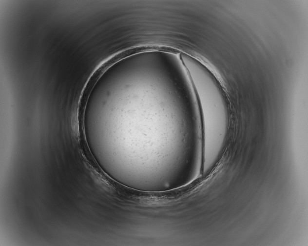 X0000087670980200705111154