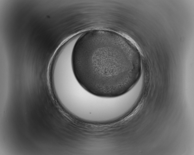 X0000087670981200705111154