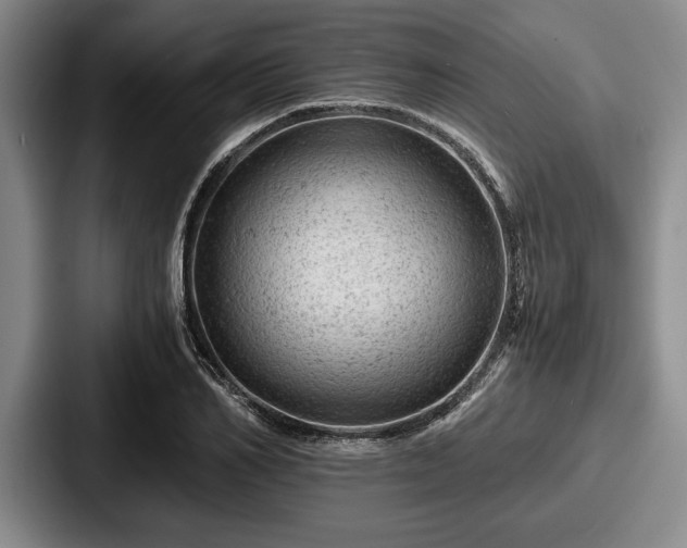 X0000087670982200705111154