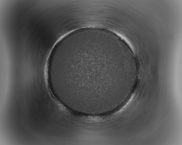 X0000087670983200705111154