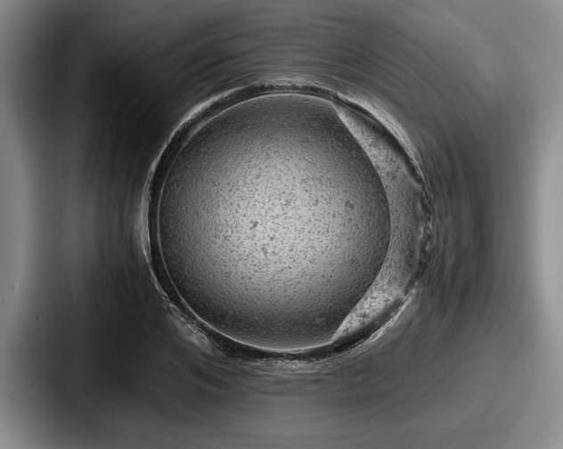 X0000087670984200705111154