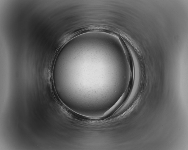 X0000087670985200705111154