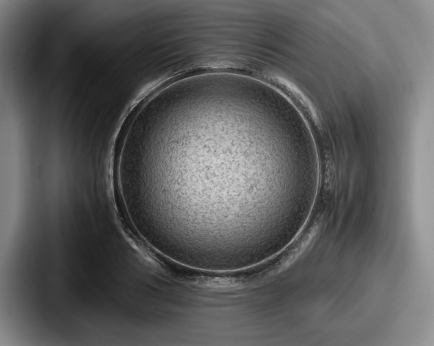 X0000087670986200705111154