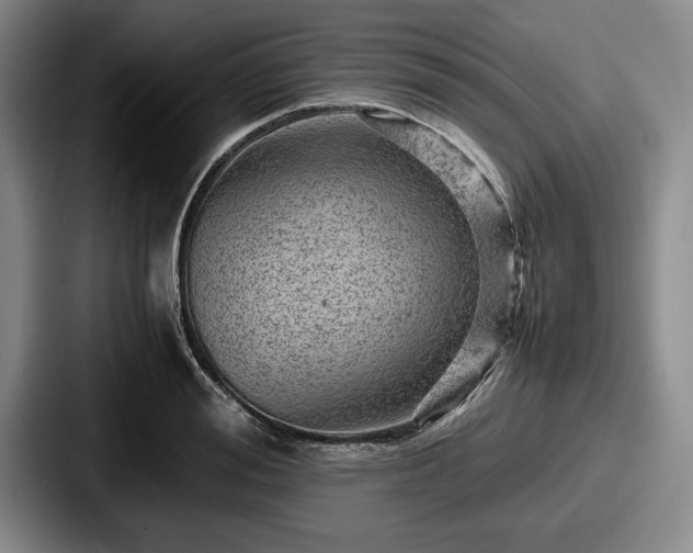 X0000087670988200705111154