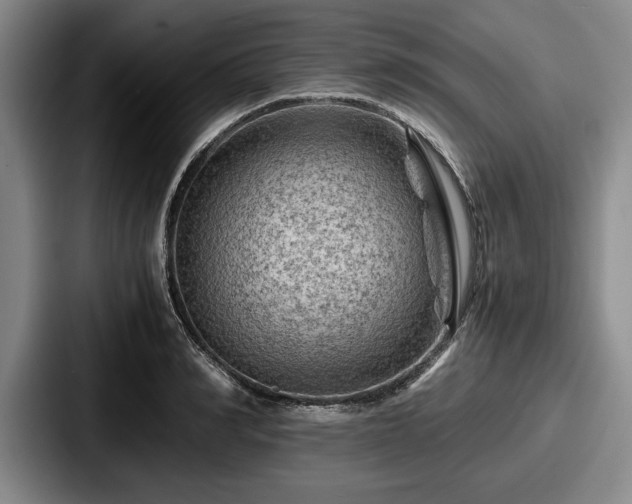 X0000087670990200705111154