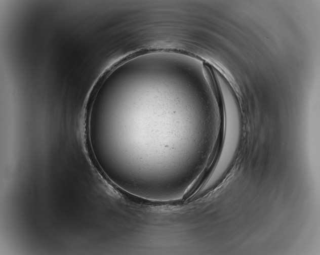 X0000087670992200705111154