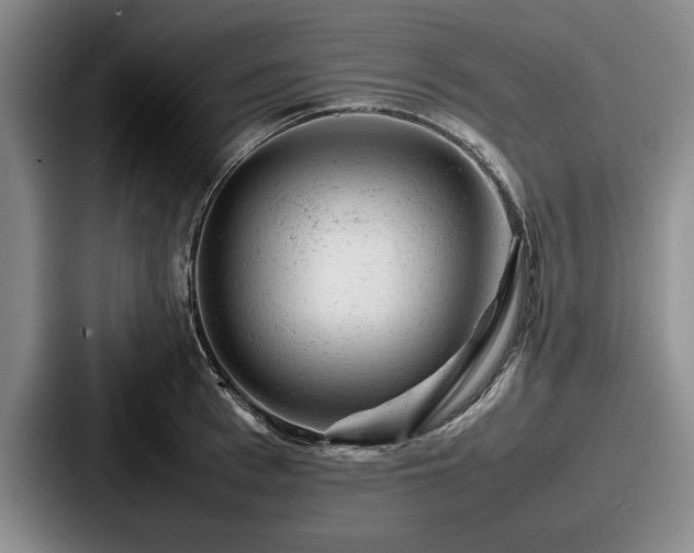 X0000087670993200705111154