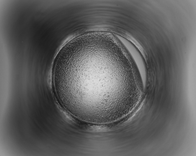 X0000087670994200705111154