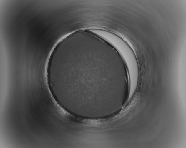 X0000087670995200705111154