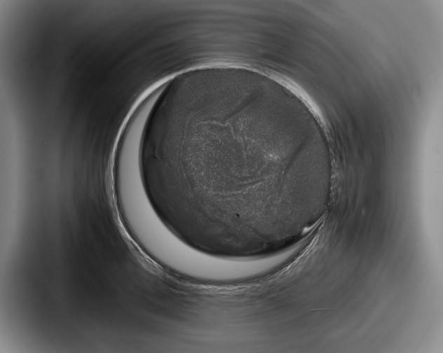 X0000087670996200705111154