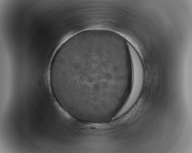 X0000087670998200705111154