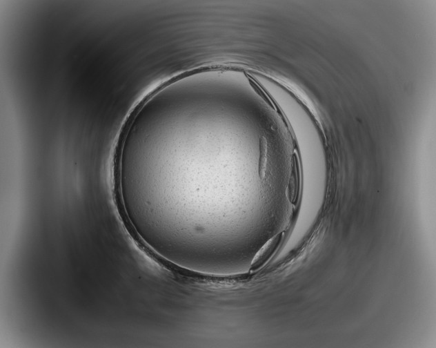 X0000087670999200705111154