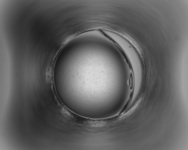 X0000087671001200705111154