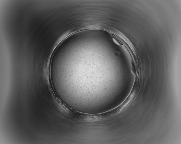 X0000087671002200705111154