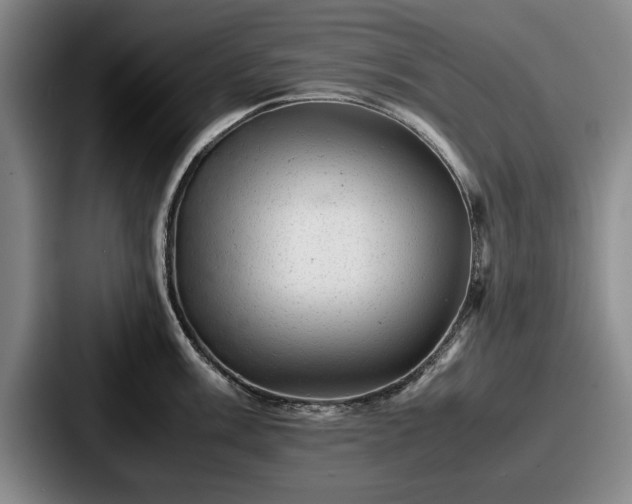 X0000087671003200705111154