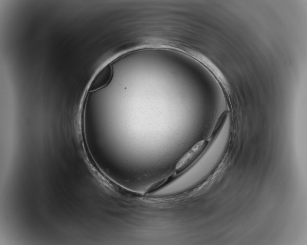 X0000087671004200705111154