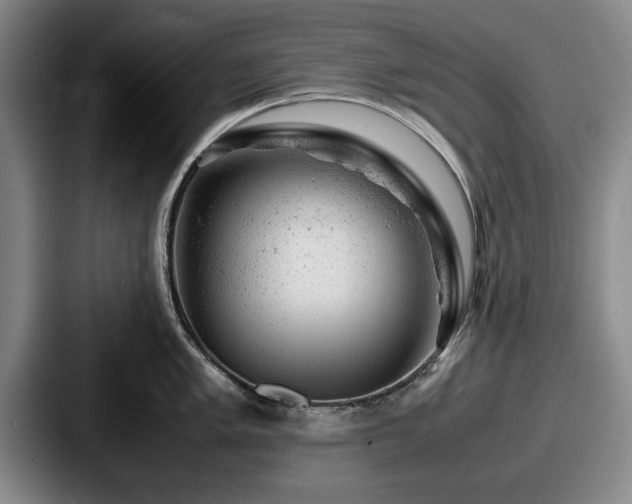 X0000087671005200705111154