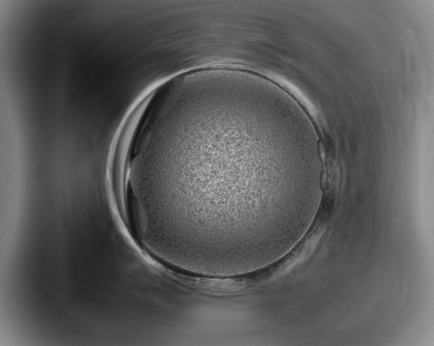 X0000087671007200705111154