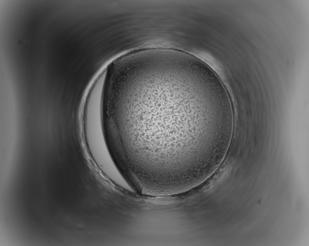 X0000087671008200705111154