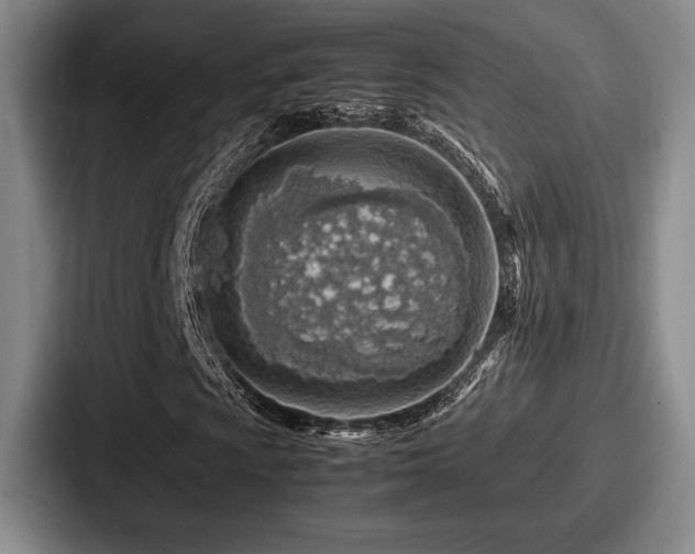 X0000087671009200705111153