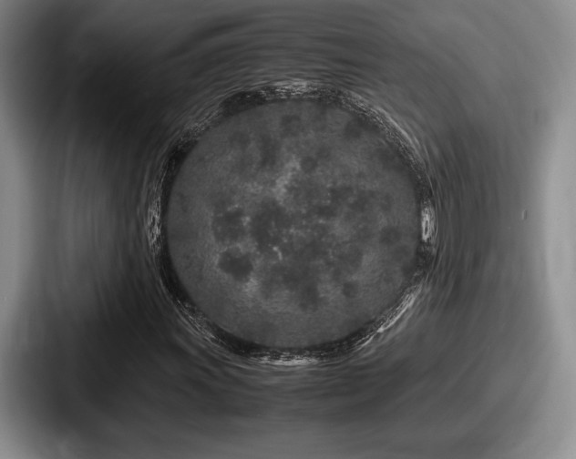 X0000087671011200705111153