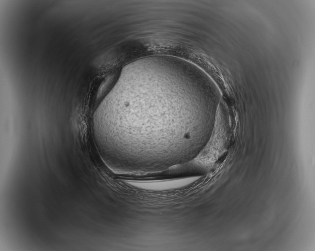 X0000087671012200705111153