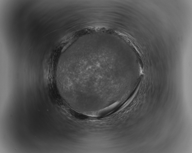 X0000087671014200705111153