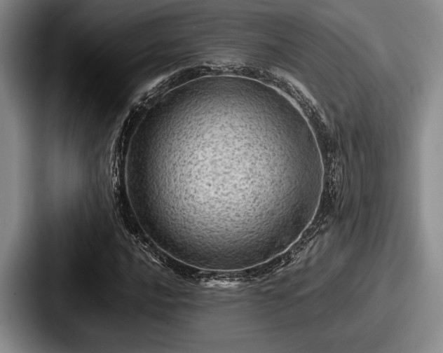 X0000087671016200705111153