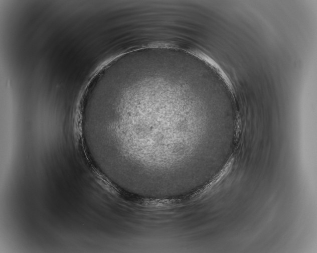 X0000087671019200705111153