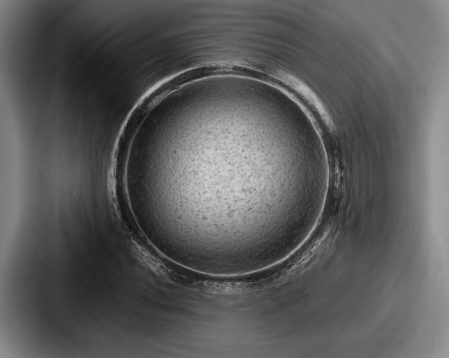 X0000087671020200705111153