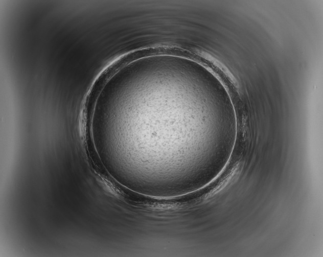 X0000087671021200705111153