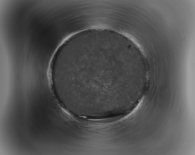 X0000087671022200705111153