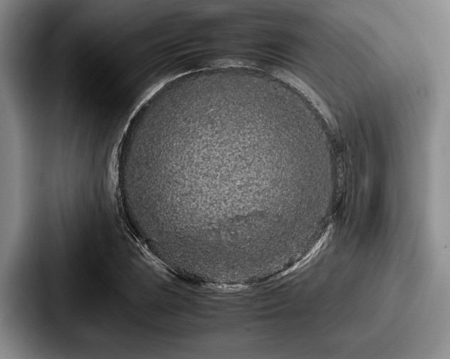 X0000087671023200705111153