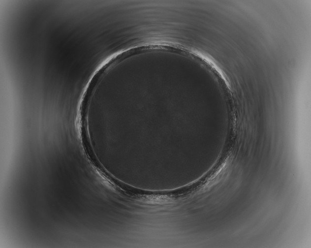 X0000087671024200705111153