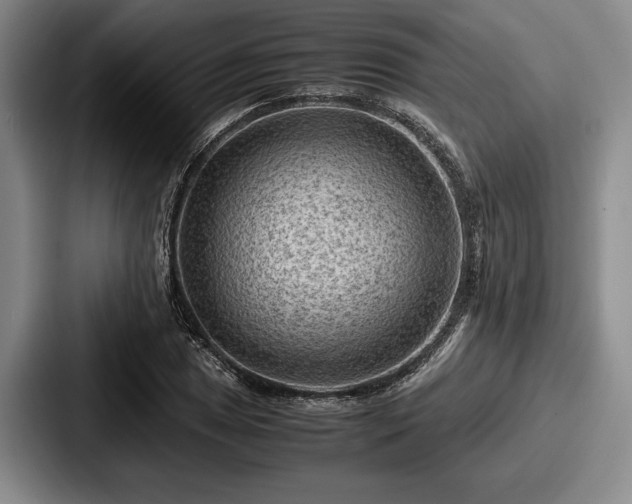 X0000087671025200705111153